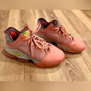 Nike LeBron James Sneakers